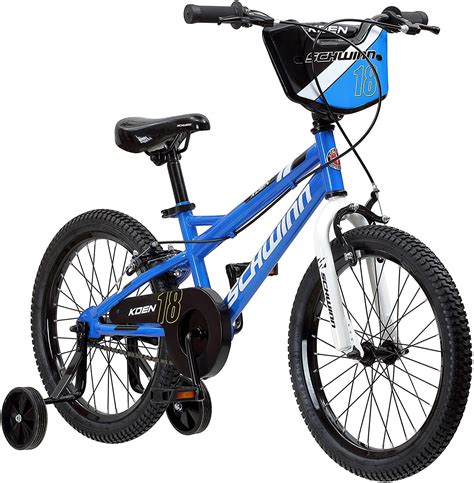 schwinn kids bike